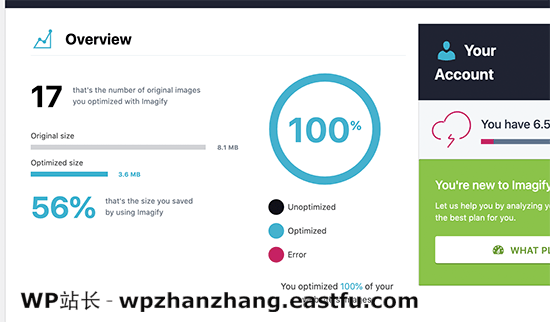 优化状态 Optimization status