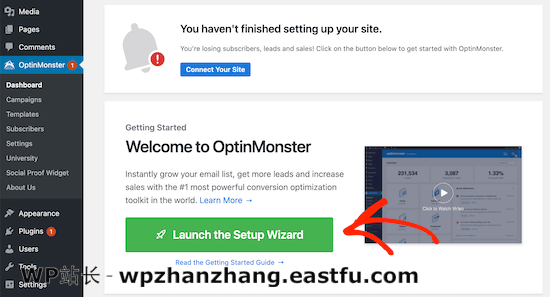 OptinMonster 设置页面 OptinMonster setup page