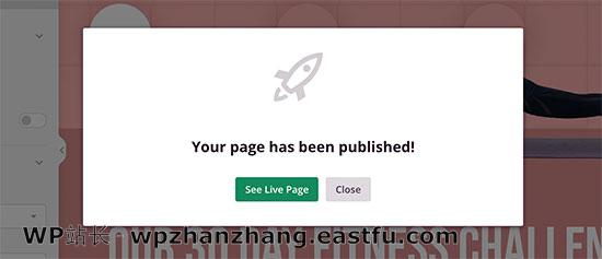 Landing page published 如何使用WordPress制作落地页 14