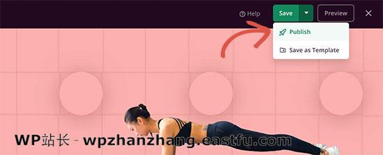 Publish your landing page 如何使用WordPress制作落地页 13