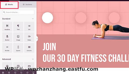 SeedProd blocks 如何使用WordPress制作落地页 7