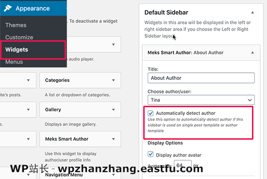Adding author info widget Adding author info widget