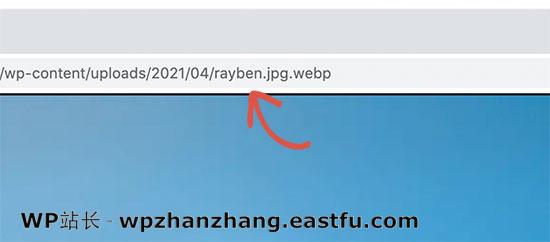 验证提供了 WebP 图像 Verify WebP image is served