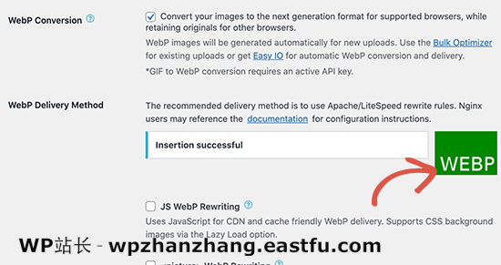 WebP 交付方法成功 WebP Delivery method successful