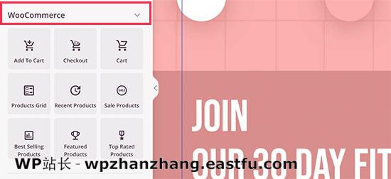 WooCommerce blocks in SeedProd 如何使用WordPress制作落地页 9