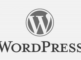 在导航中添加搜索框WordPress开发教程 (https://www.wpmee.com/) WordPress开发教程 第1张