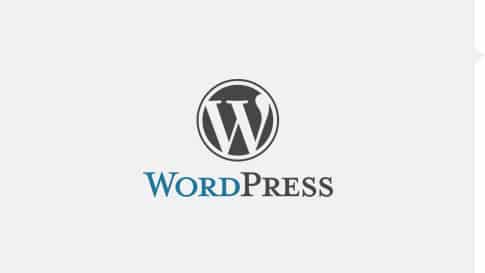 实用的WordPress主题函数使用技巧 (https://www.wpzt.net/) WordPress入门 第1张