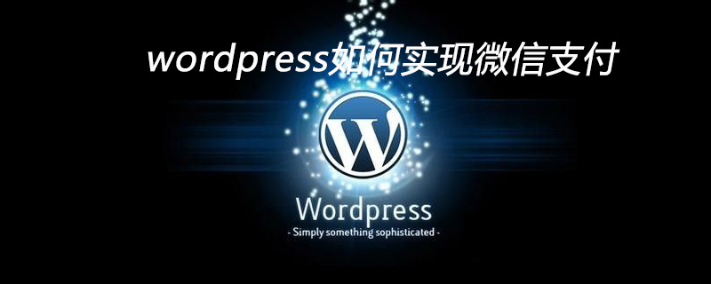 WordPress网站微信支付如何设置？ (https://www.yunsxr.com/) WordPress基础教程 第1张