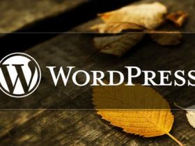 WordPress用户个人资料增加微博信息功能教程 (https://www.wpmee.com/) WordPress使用教程 第1张