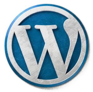 如何给WordPress添加个性标志favicon.ico图标？ (https://www.wpzt.net/) WordPress入门 第1张