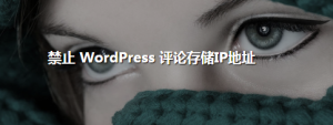 如何给WordPress网站设置禁止存储评论者IP地址？ (https://www.wpzt.net/) WordPress开发教程 第1张