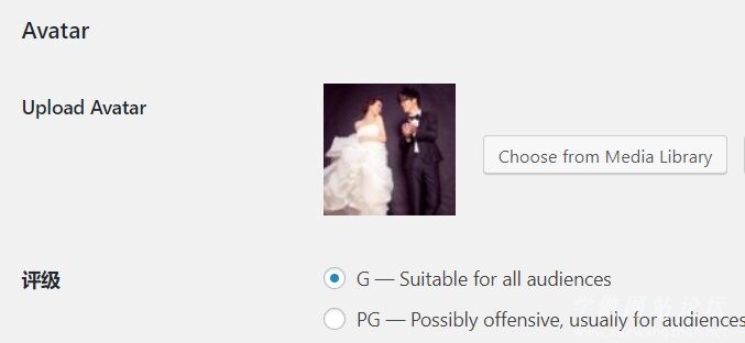 Wordpress网站如何添加上传用户头像功能