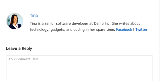 Preview default author info box Preview default author info box