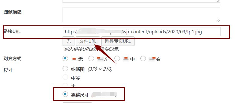 Wordpress 后台面板图片上传功能