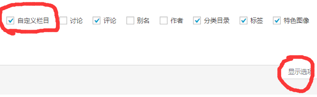 wordpress自定义栏目设置方法