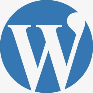 WordPress文章实现自动无限下拉翻页方法 (https://www.wpzt.net/) WordPress开发教程 第1张