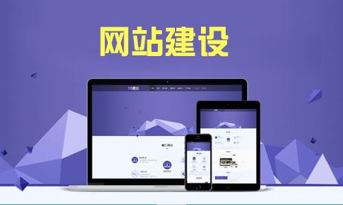 企业网站建设选择网络公司的标准是什么？ (https://www.wpzt.net/) WordPress教程 第1张