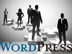 自定义用户登录WordPress函数wp_signon() (https://www.wpzt.net/) WordPress入门 第1张