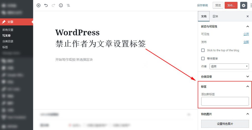 WordPress网站如何禁止作者为文章设置标签？ (https://www.wpzt.net/) WordPress基础教程 第1张